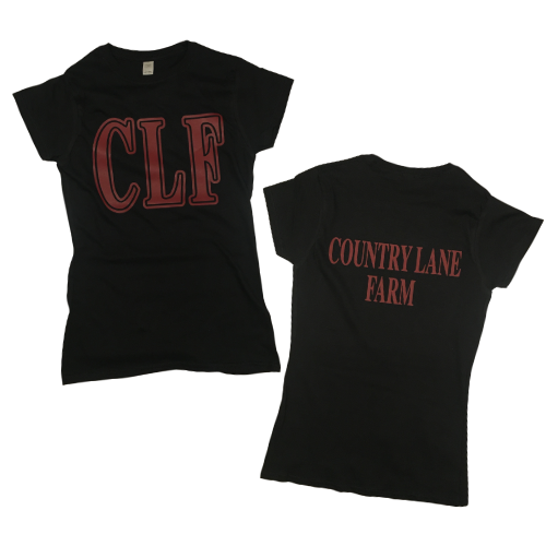 CLF Cotton T-Shirt w/ Back Print - Black - Gray & Bay Horse Co.